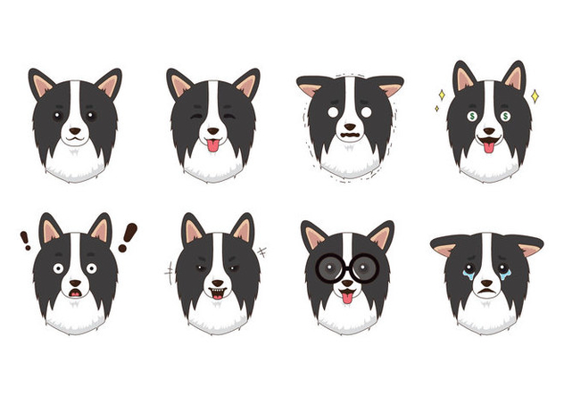 632x443 Free Border Collie Vector Free Vector Download 418737 Cannypic