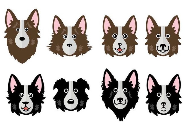 632x443 Free Border Collie Vector Illustration Free Vector Download 411659
