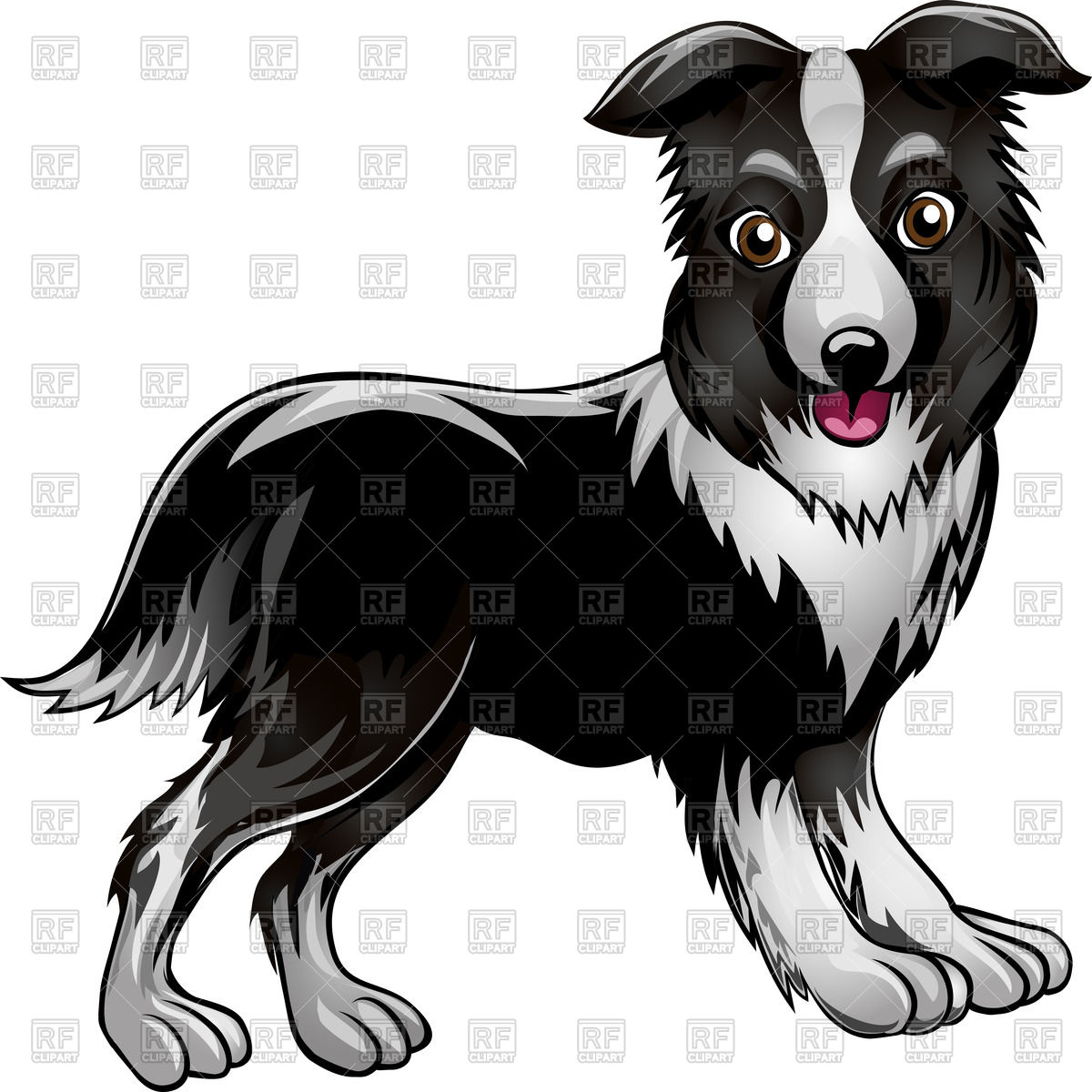 1200x1200 Funny Border Collie Drawn In Cartoon Style Vector Image Vector