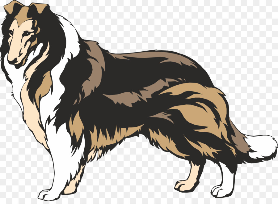 900x660 Rough Collie Border Collie Smooth Collie Clip Art