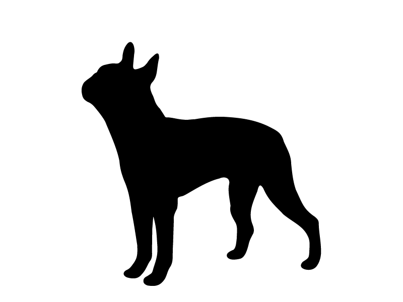 800x600 Boston Terrier Clipart Silhouette