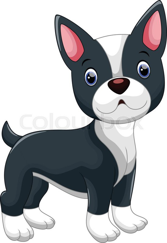 548x800 Cute Boston Terrier Cartoon Stock Vector Colourbox