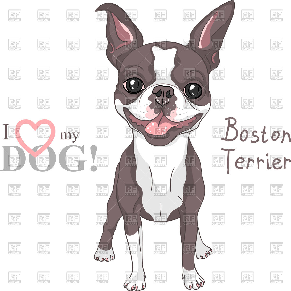 1200x1200 Smiling Dog Boston Terrier Breed Standing Vector Image Vector