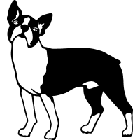 200x200 Boston Terrier Clipart Vector