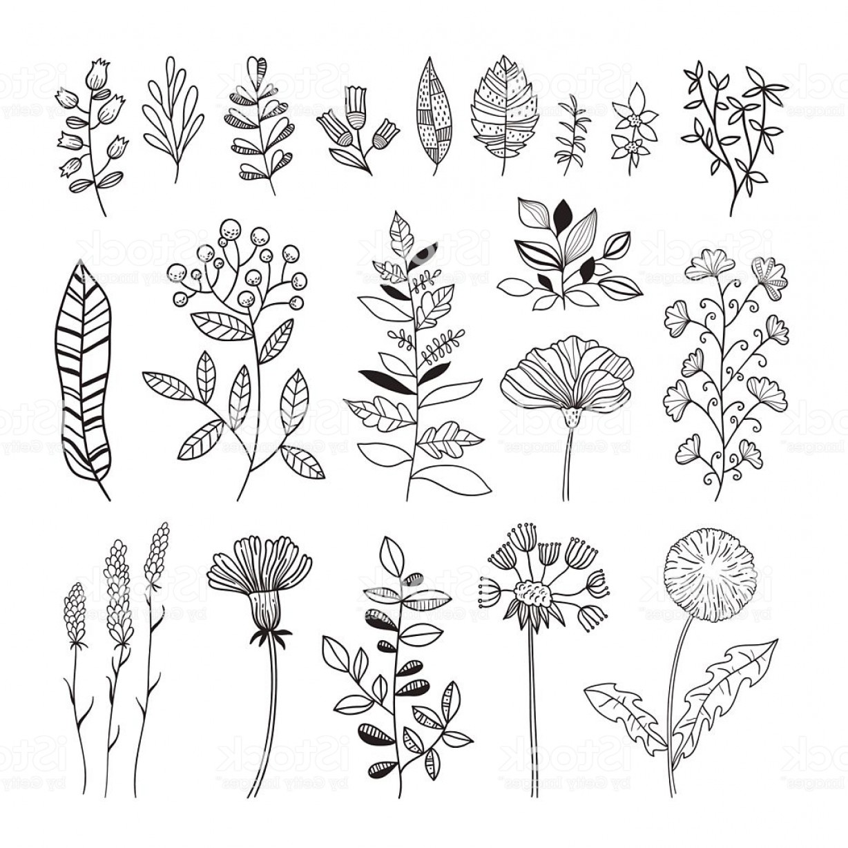 1228x1228 Floral Botanical Vector Set Hand Drawn Flowers And Plants Gm