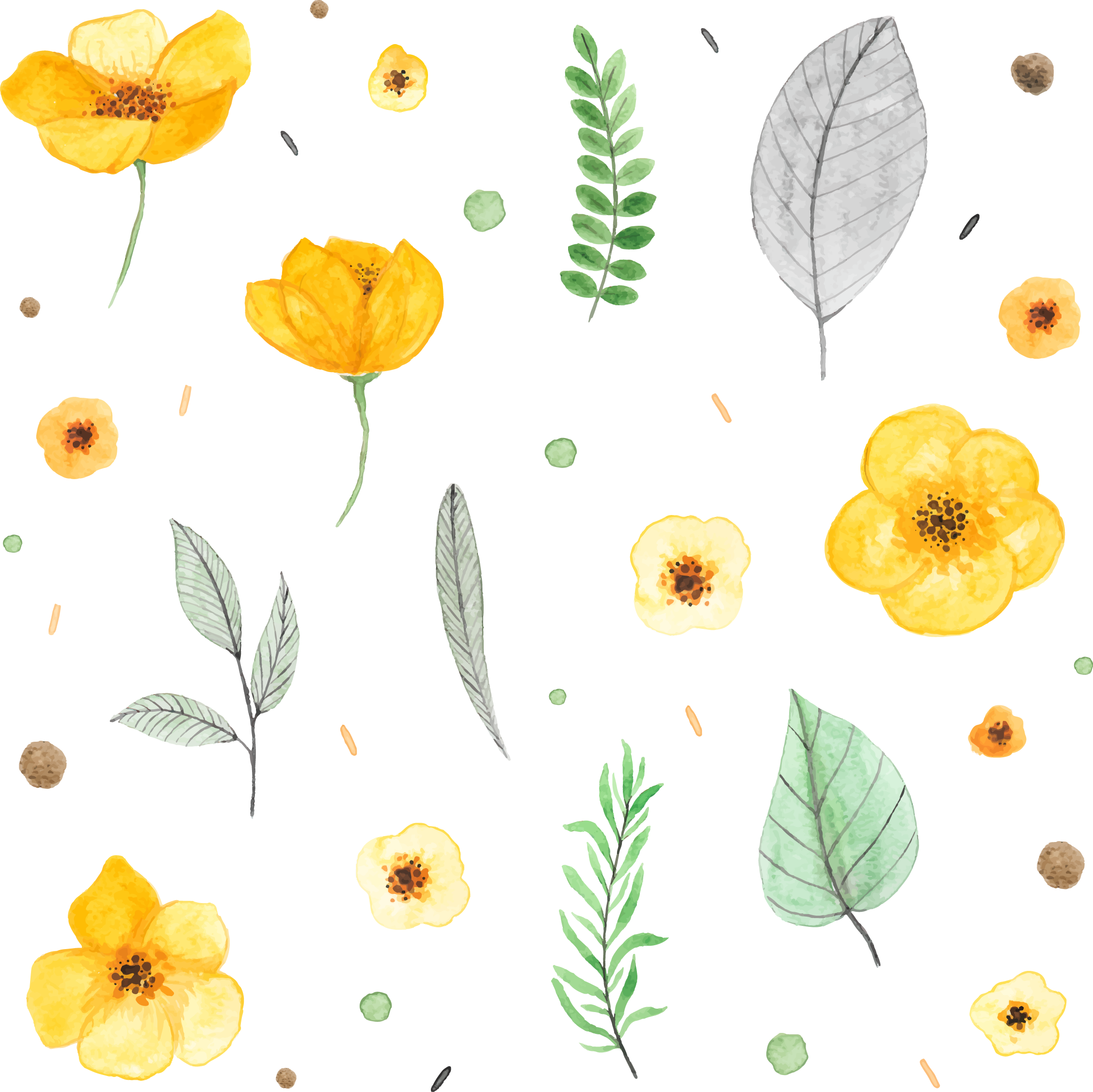 2255x2254 15 Botanical Vector Hand Drawn For Free Download On Mbtskoudsalg