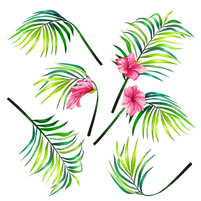 640x640 Set Of Botanical Vector Illustrations Of Tropical Palm Leaves In