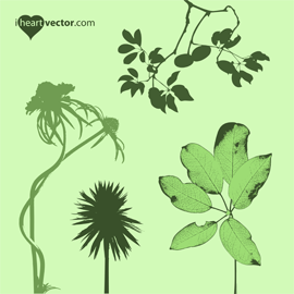 270x270 Botanical Archives