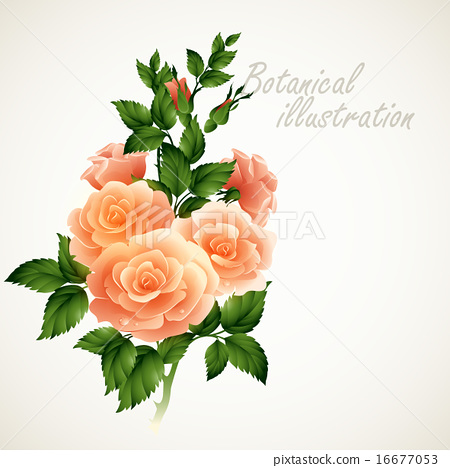 450x468 Botanical Vector Illustration. Vintage Floral Card