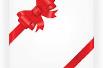 343x228 Gift Bow Vector