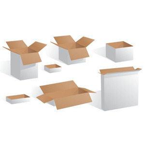 300x300 Blank White Boxes Vector
