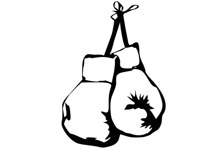 700x490 Guantes De Boxeo