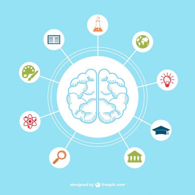 626x626 Brain With Education Icons Vector Free Download