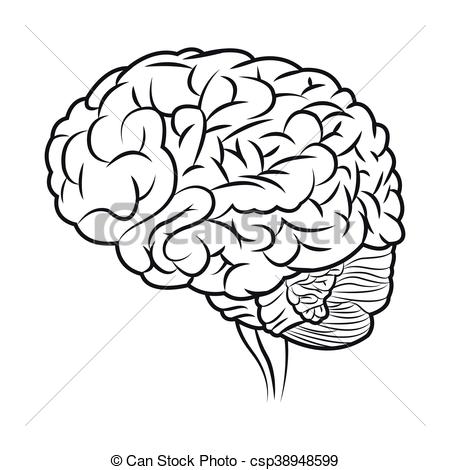 Brain Icon Vector at GetDrawings | Free download