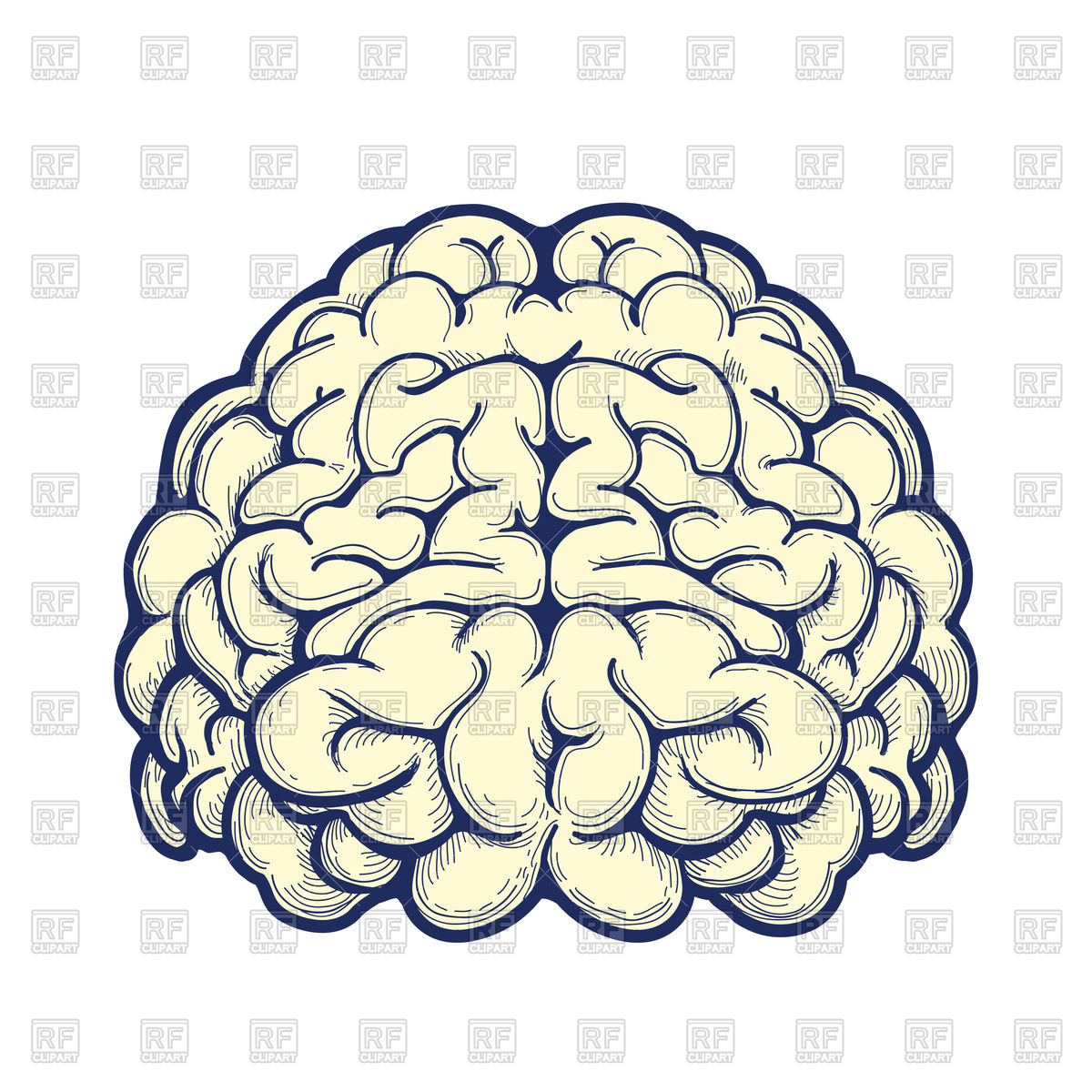 1200x1200 Human Brain Icon On White Background Vector Image Vector Artwork