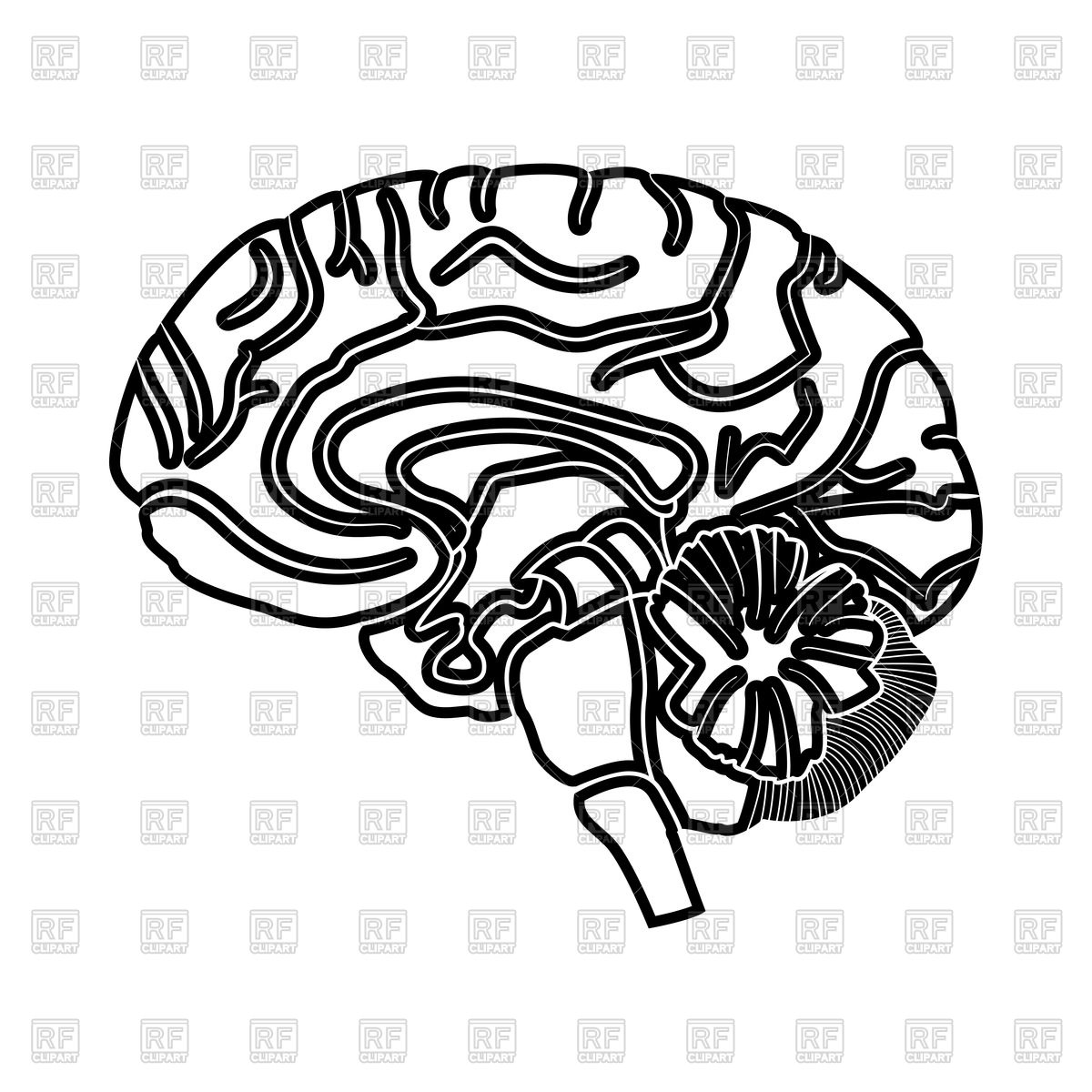 1200x1200 Brain Outline Vector Image Vector Artwork Of Objects Serhii435