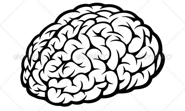 589x353 Drawn Brains Vector Art