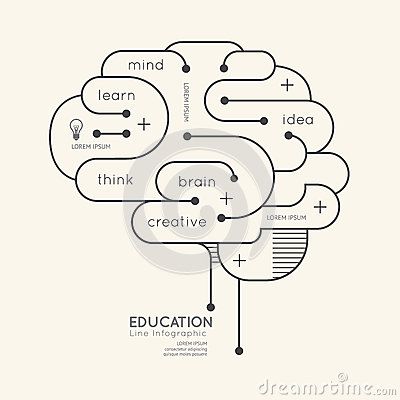 400x400 Flat Linear Infographic Education Outline Brain Concept.vector