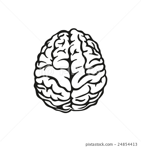 450x468 Vector Outline Illustration Of Human Brain
