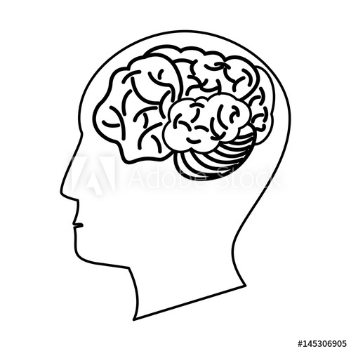 500x500 Human Head Brain Outline Vector Illustration Eps 10