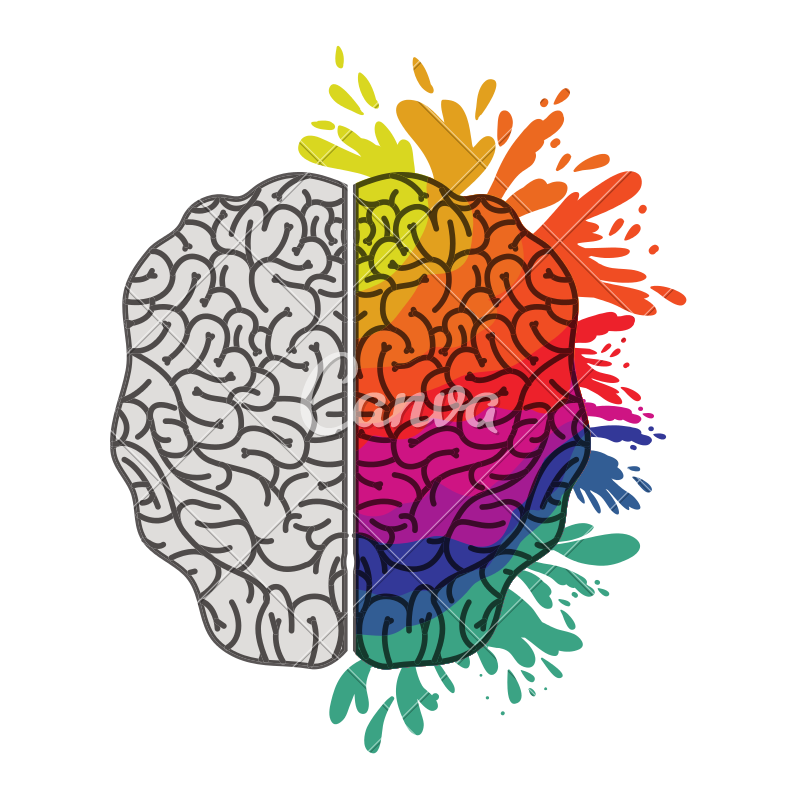 800x800 Brain Vector Icon