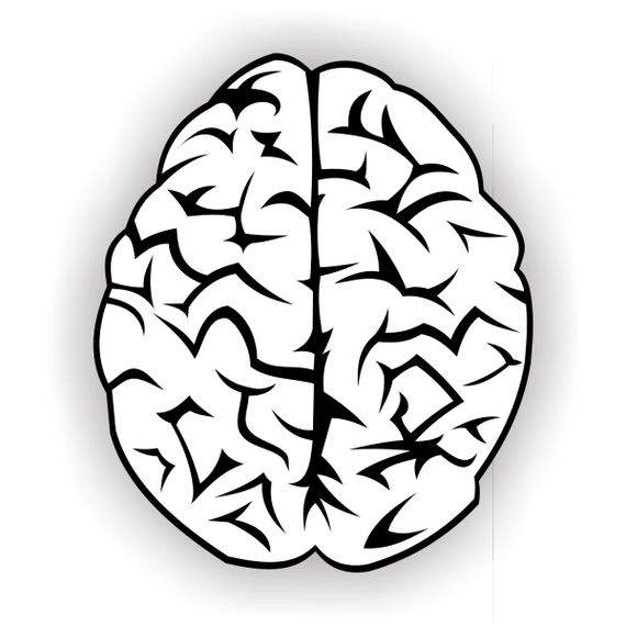 570x570 Brain Vector Free