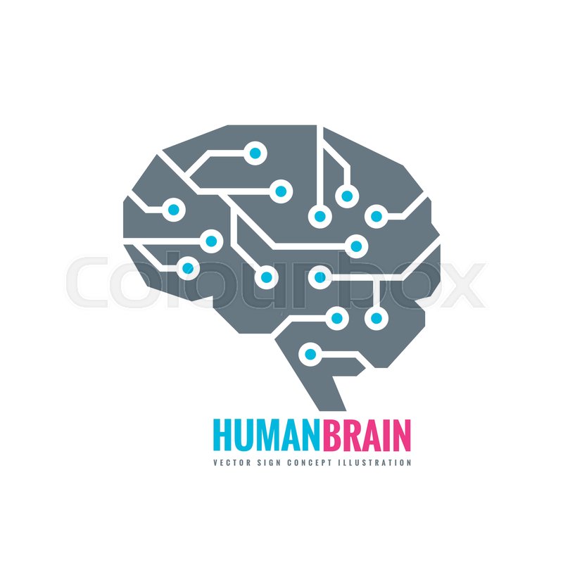 800x800 Digital Human Brain