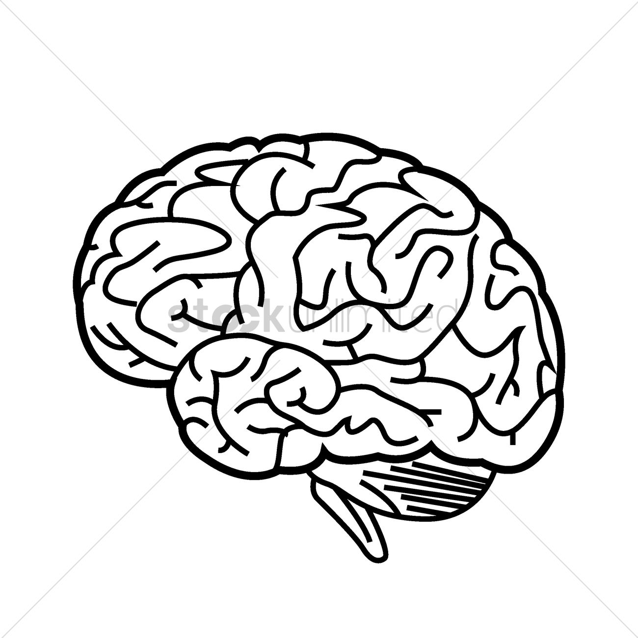 1300x1300 Human Brain Vector Image