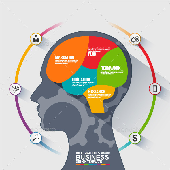 590x590 Infographic Business Brain Vector Design By Alexdndz Graphicriver
