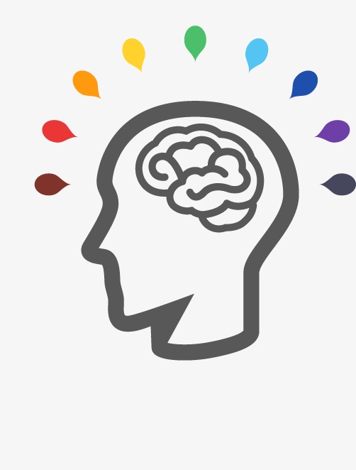 502x662 Brain, Head Portrait, Brain Vector Png And Vector For Free Download