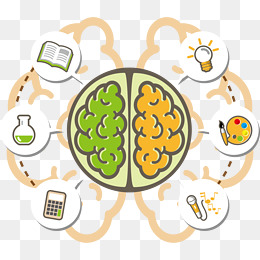 260x260 Brain Png, Vectors, Psd, And Clipart For Free Download Pngtree