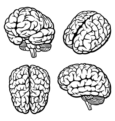 380x400 16 Free Vector Brain Images