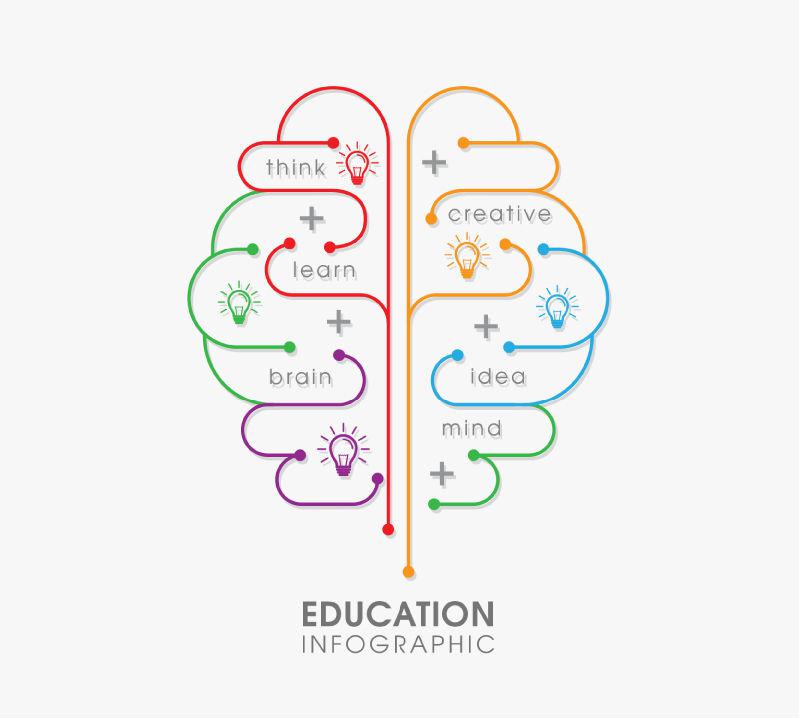 800x718 Creative Brain Education Information Map Vector [Ai]