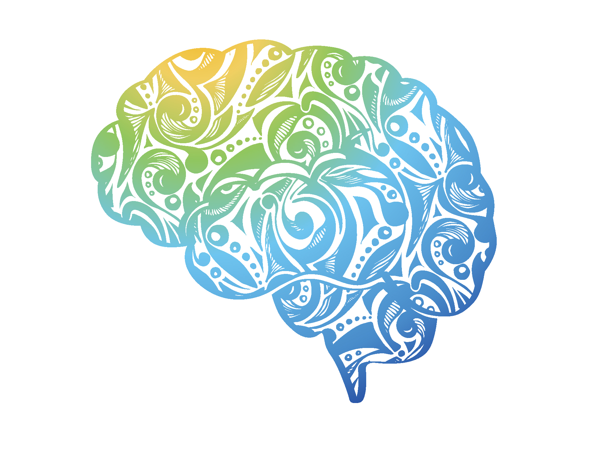 1949x1516 Hand Drawn Colorful Human Brain Vector Free Download Ai Files