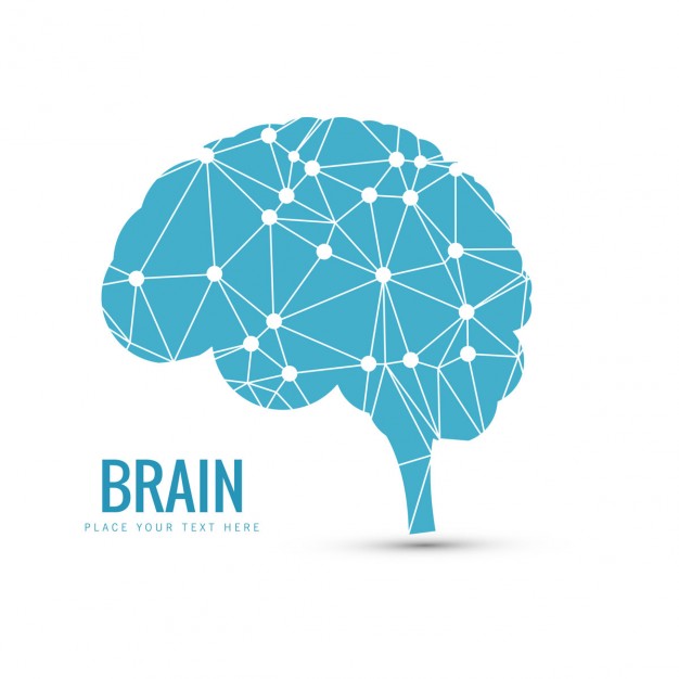 626x626 Blue Brain Background Vector Free Download