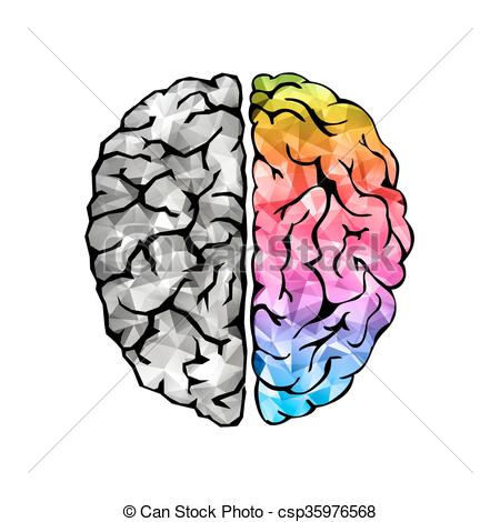 450x470 Creative Concept Of The Human Brain. Left And Right Side. Brain
