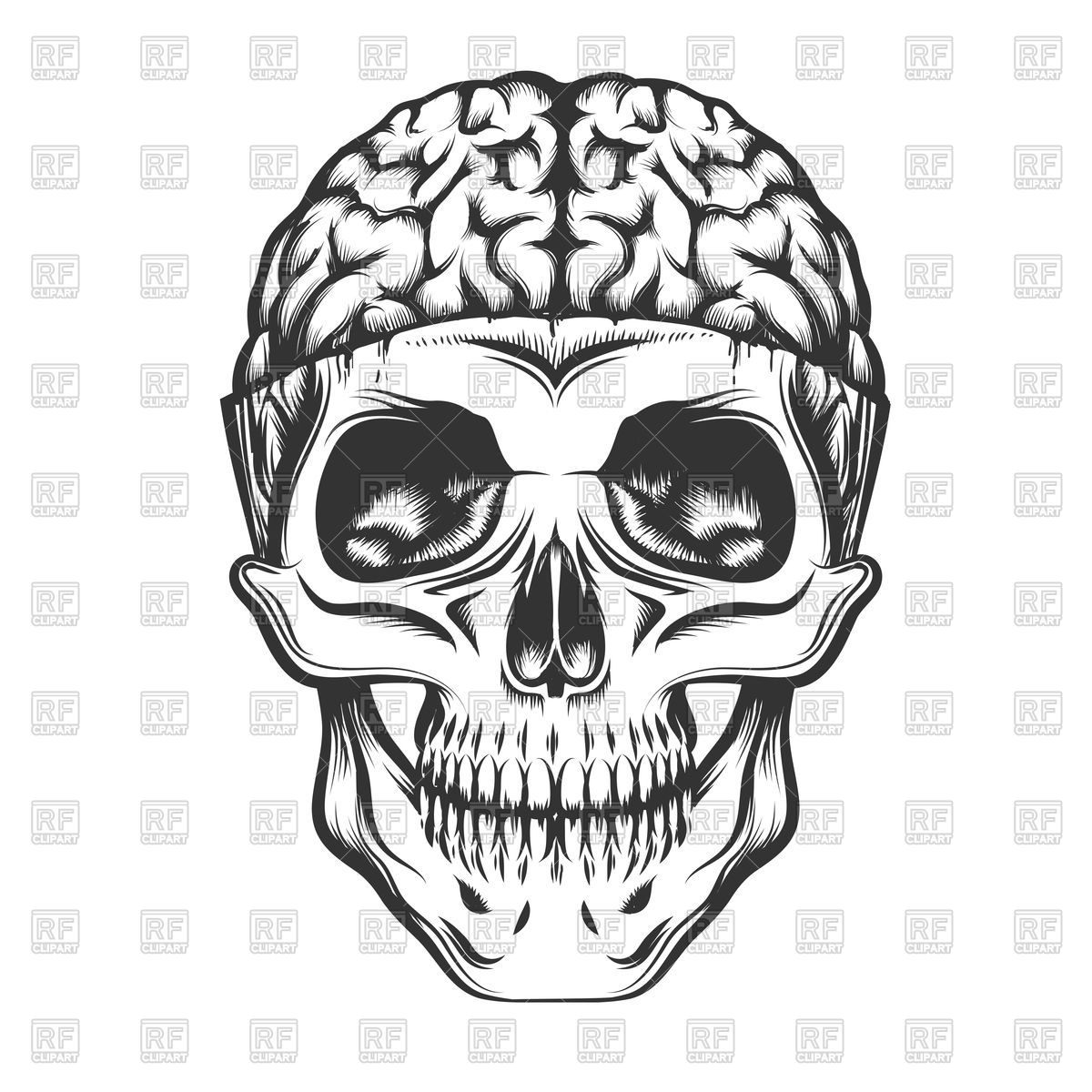 1200x1200 Human Skull With Open Brain Vector Image Vector Artwork Of