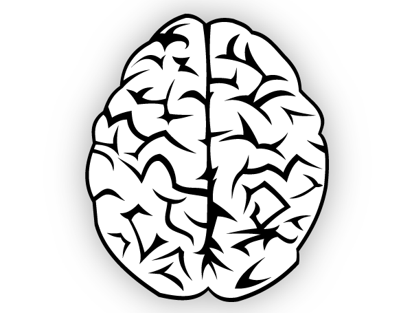 600x455 Brain Vector Free 123freevectors