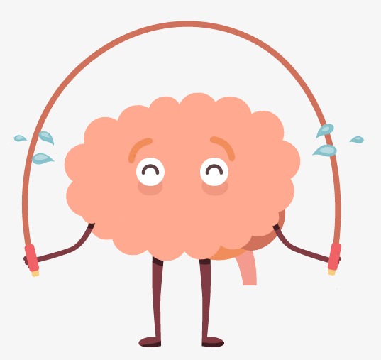 537x507 Cartoon Vector Illustration Brain Fitness, Cartoon Vector, Brain