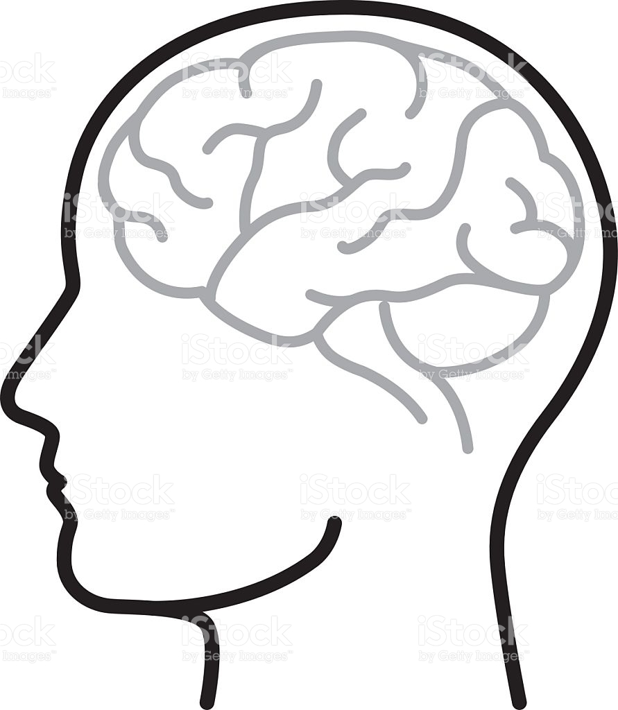 891x1024 Drawn Brain Vector Art