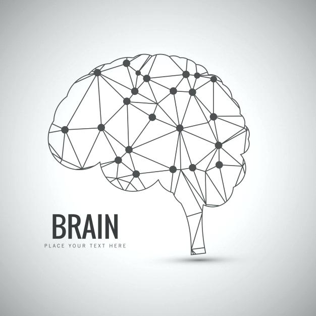 626x626 Excellent Brain Vector Glamorous Woman Silhouette With Thinking