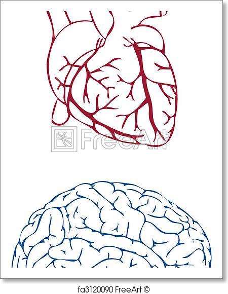 450x580 Free Art Print Of Heart And Brain, Vector. Heart And Brain, Vector