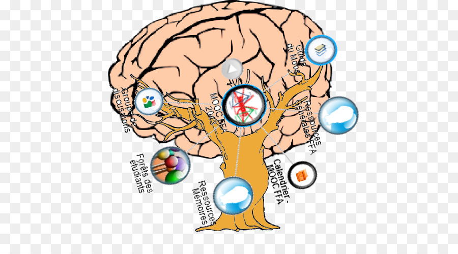 900x500 Brain Clip Art