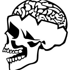 282x282 Skull With Brain Vector Free Vector Download 207035 Cannypic