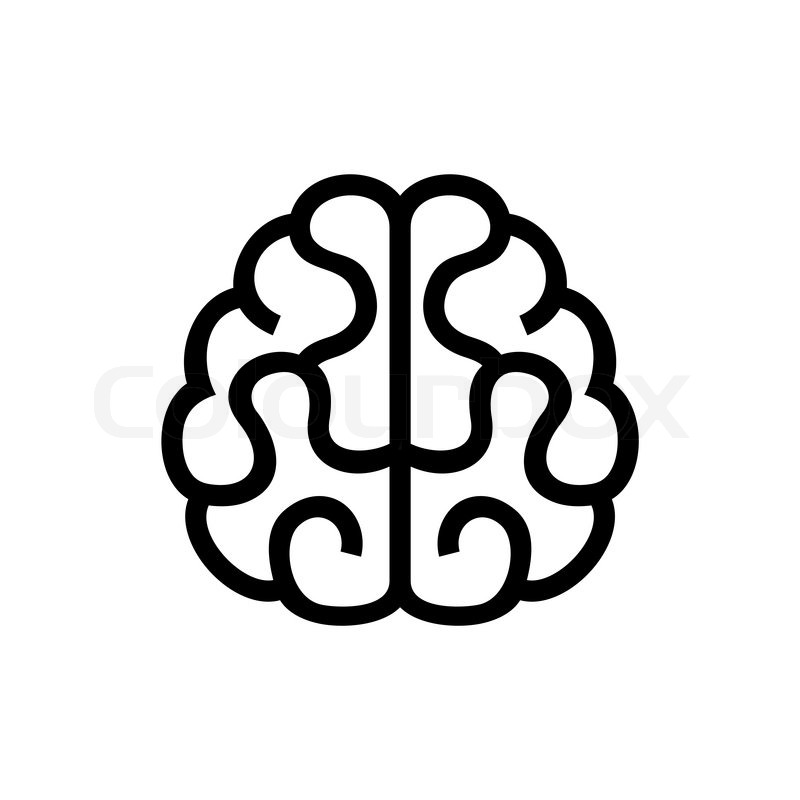 800x800 Brain Icon. Vector Illustration On White Background Stock Vector