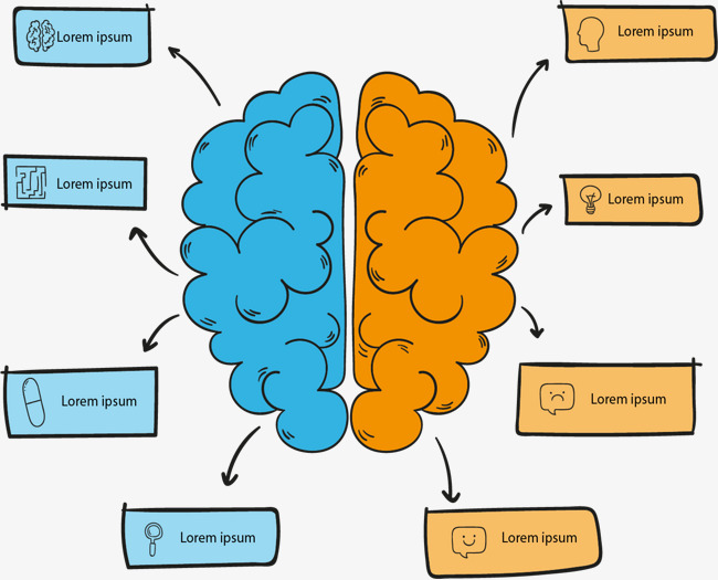 650x525 Left And Right Brain Comparative Chart, Brain Vector, Chart Vector