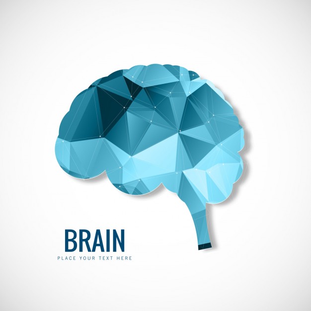 626x626 Polygonal Brain Vector Free Download