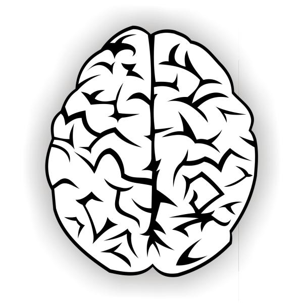 600x600 Brain Vector Free