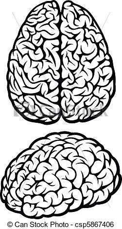 251x470 Brain. Vector Illustration.