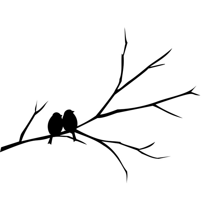 700x664 Two Birds Sitting On A Branch Vector Wall Mural We